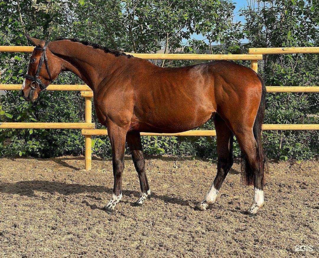 Отзывы на компанию Аргамак плюс в г. Дзержинский c фото