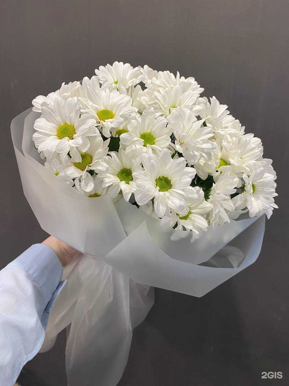 Отзывы на компанию Kukka в г. Петрозаводск c фото