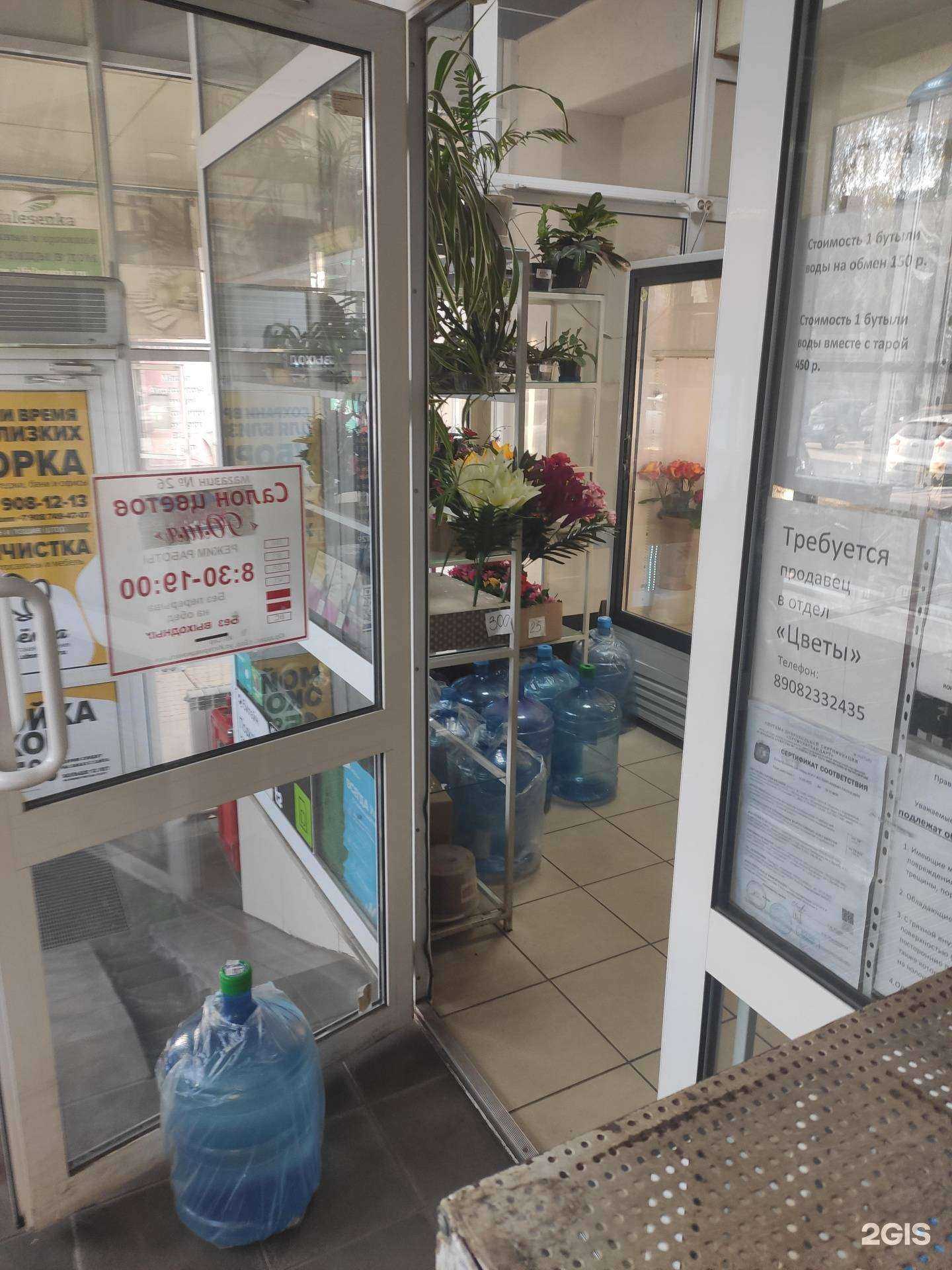 Отзывы на компанию Серебристый источник в Боре c фото