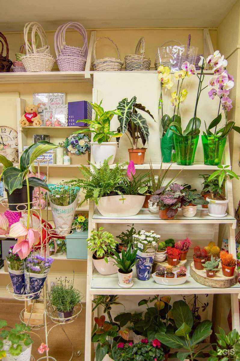 Отзывы на компанию Дари в Кирове c фото