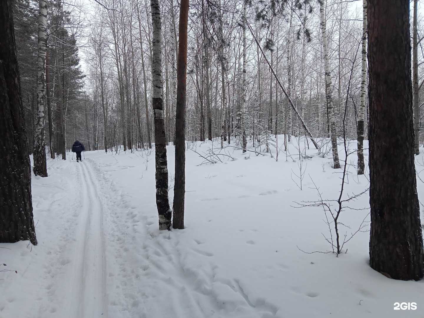 Отзывы на компанию Лыжная база в Екатеринбурге c фото - фотография 2 из 2