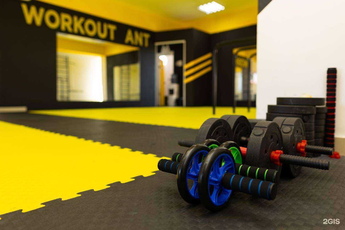 Отзывы на компанию Workout Ant в г. Иркутск c фото