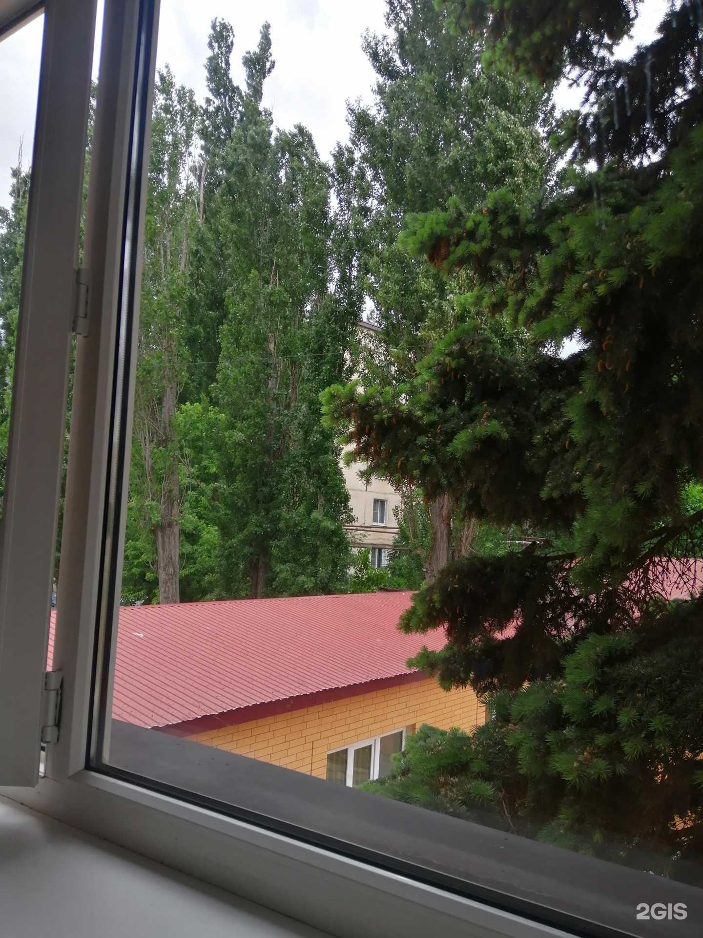 Отзывы на компанию Лингвист в г. Махачкала c фото