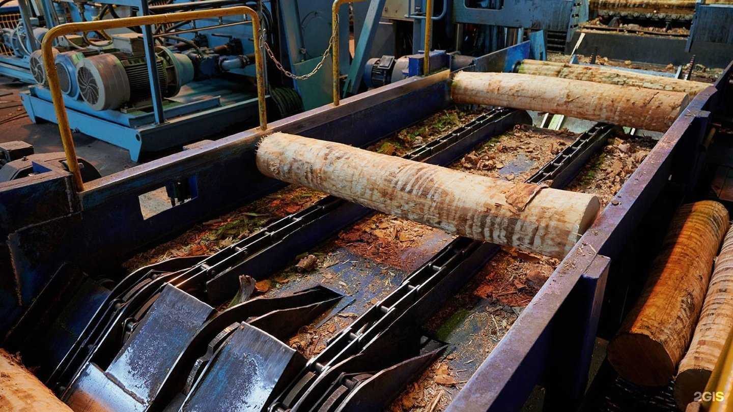 Отзывы на компанию Серебряная Береза в Красноярске c фото