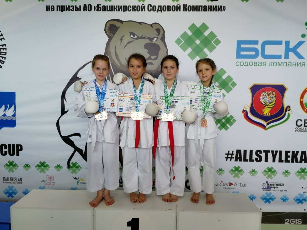 Отзывы на компанию Поволжская академия боевых искусств в Тольятти c фото