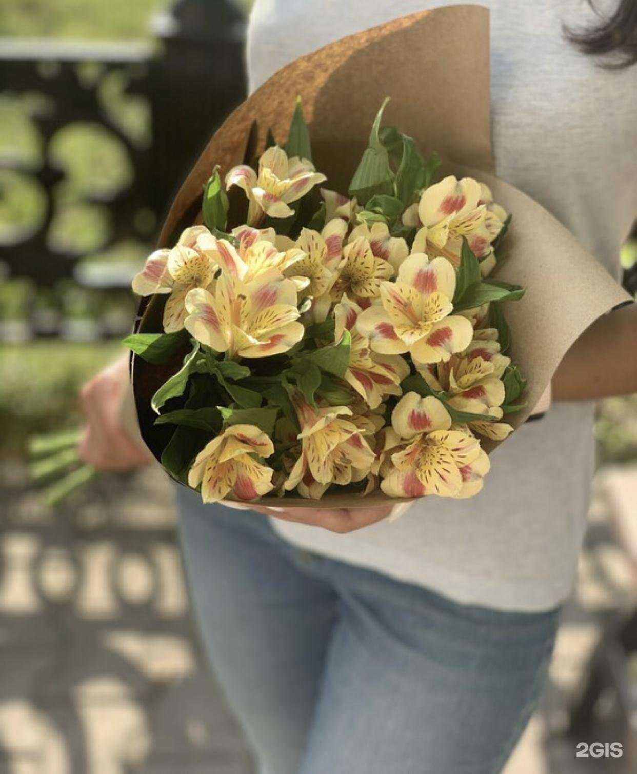 Отзывы на компанию Orchideiorel57 в Орле c фото