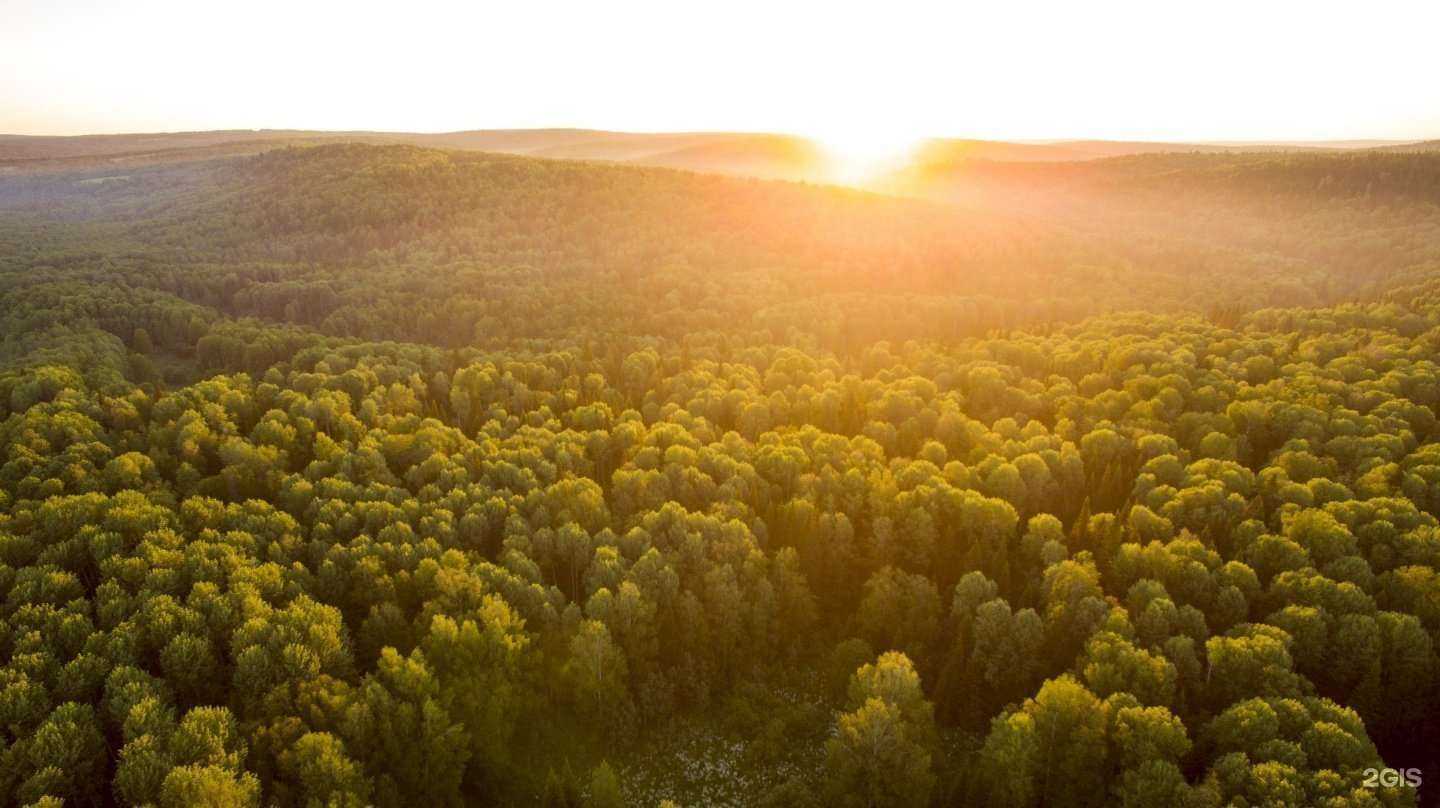 Отзывы на компанию Бердовская таёжная в Кемерове c фото