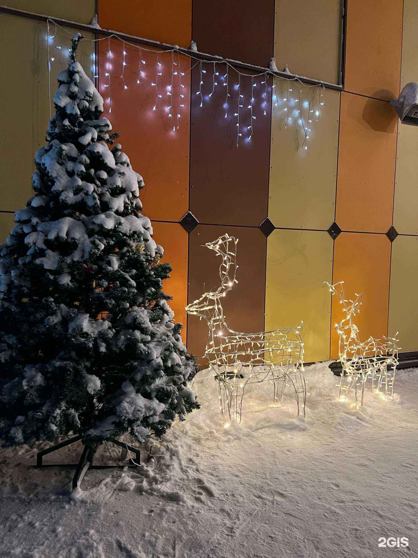 Отзывы на компанию Средняя общеобразовательная школа №155 в Новосибирске c фото