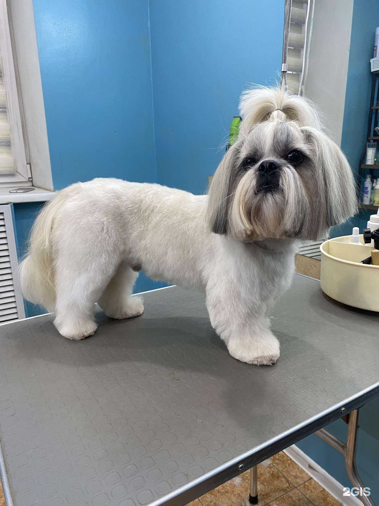 Отзывы на компанию Купер в Иркутске c фото