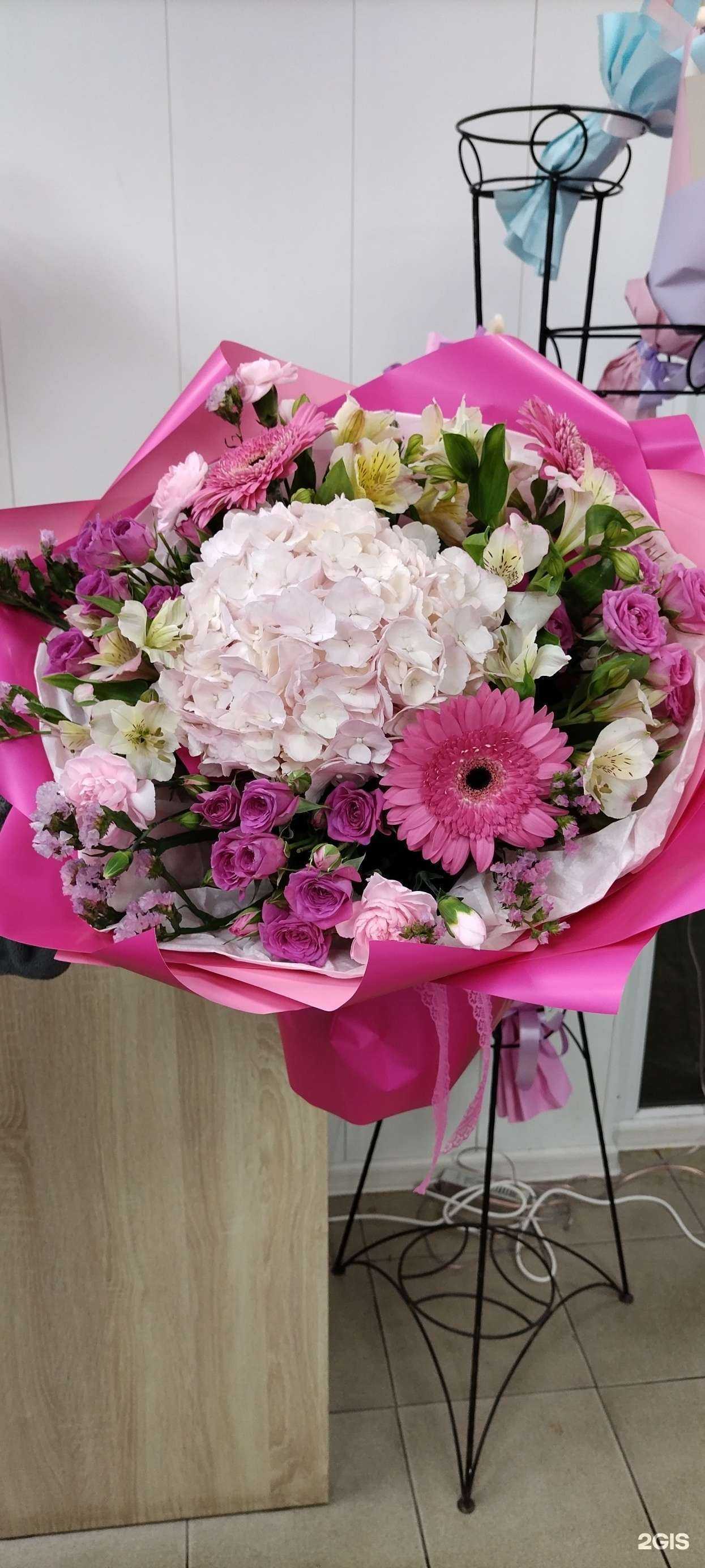 Отзывы на компанию Виола в Магнитогорске c фото