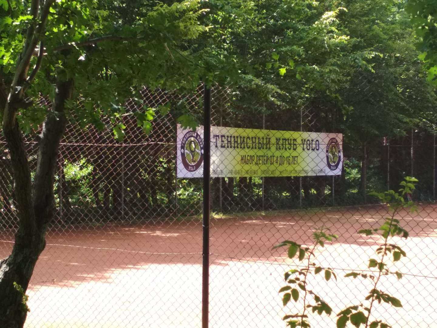 Отзывы на компанию Yolo в Калининграде c фото