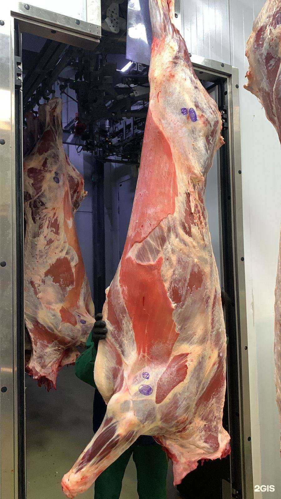 Отзывы на компанию Артос в г. Владивосток c фото