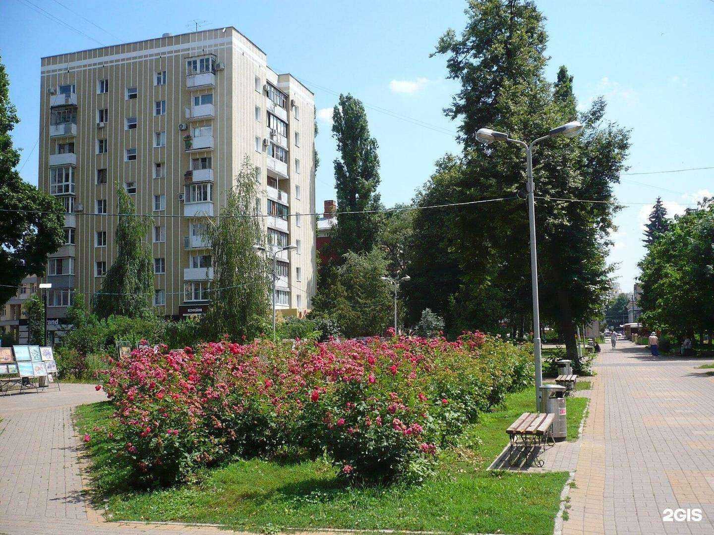 Отзывы на компанию Rewer`s professional в Воронеже c фото - фотография 2 из 2