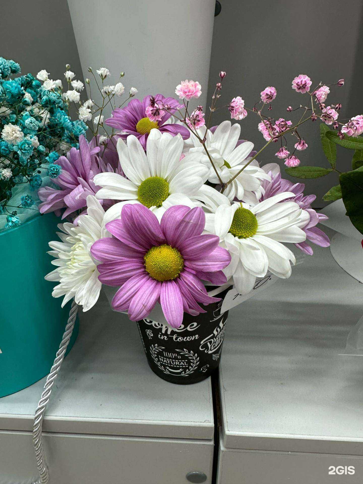 Отзывы на компанию Анастасия в г. Нижний Новгород c фото