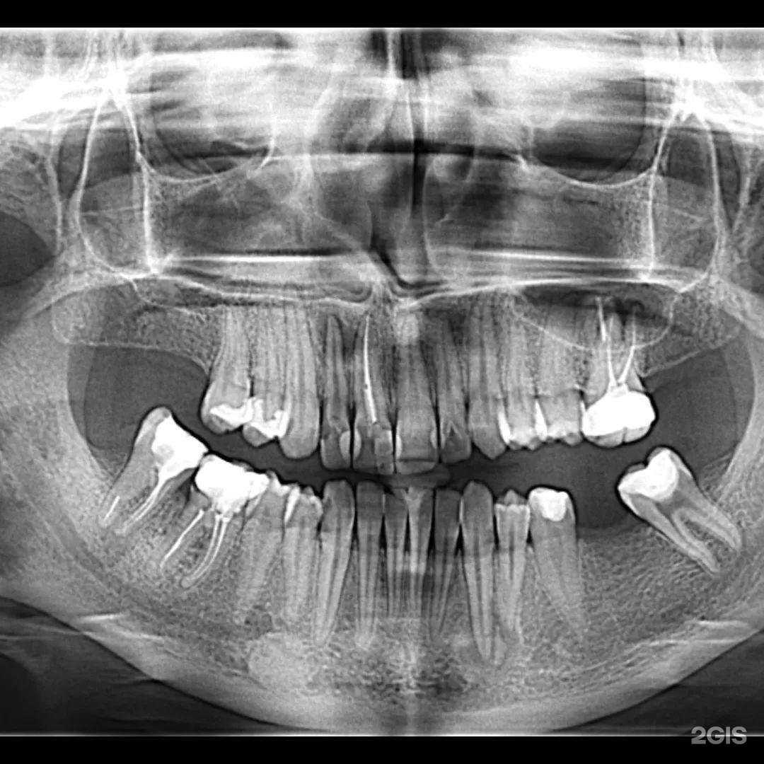 Отзывы на компанию Alif-dent в г. Махачкала c фото
