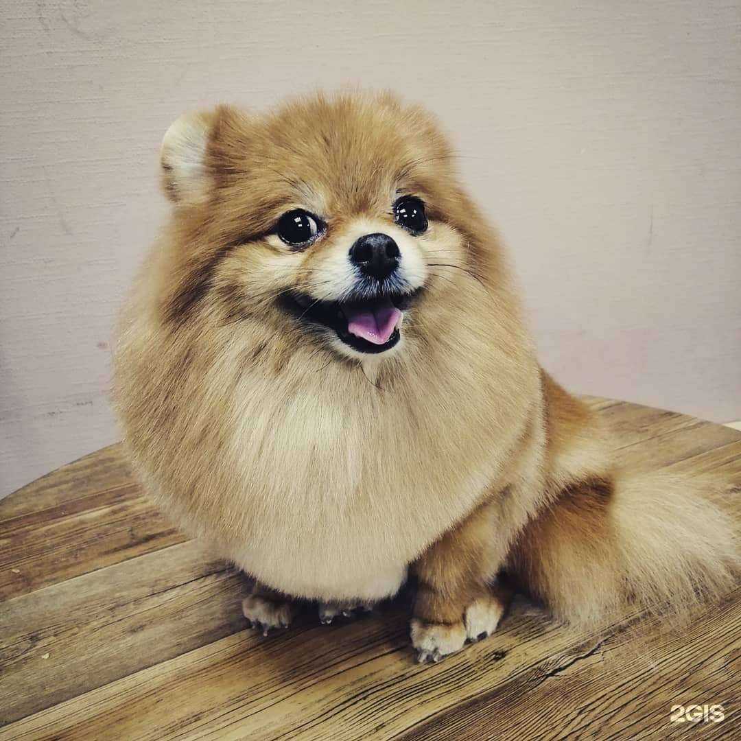 Отзывы на компанию Шик модерн в Челябинске c фото