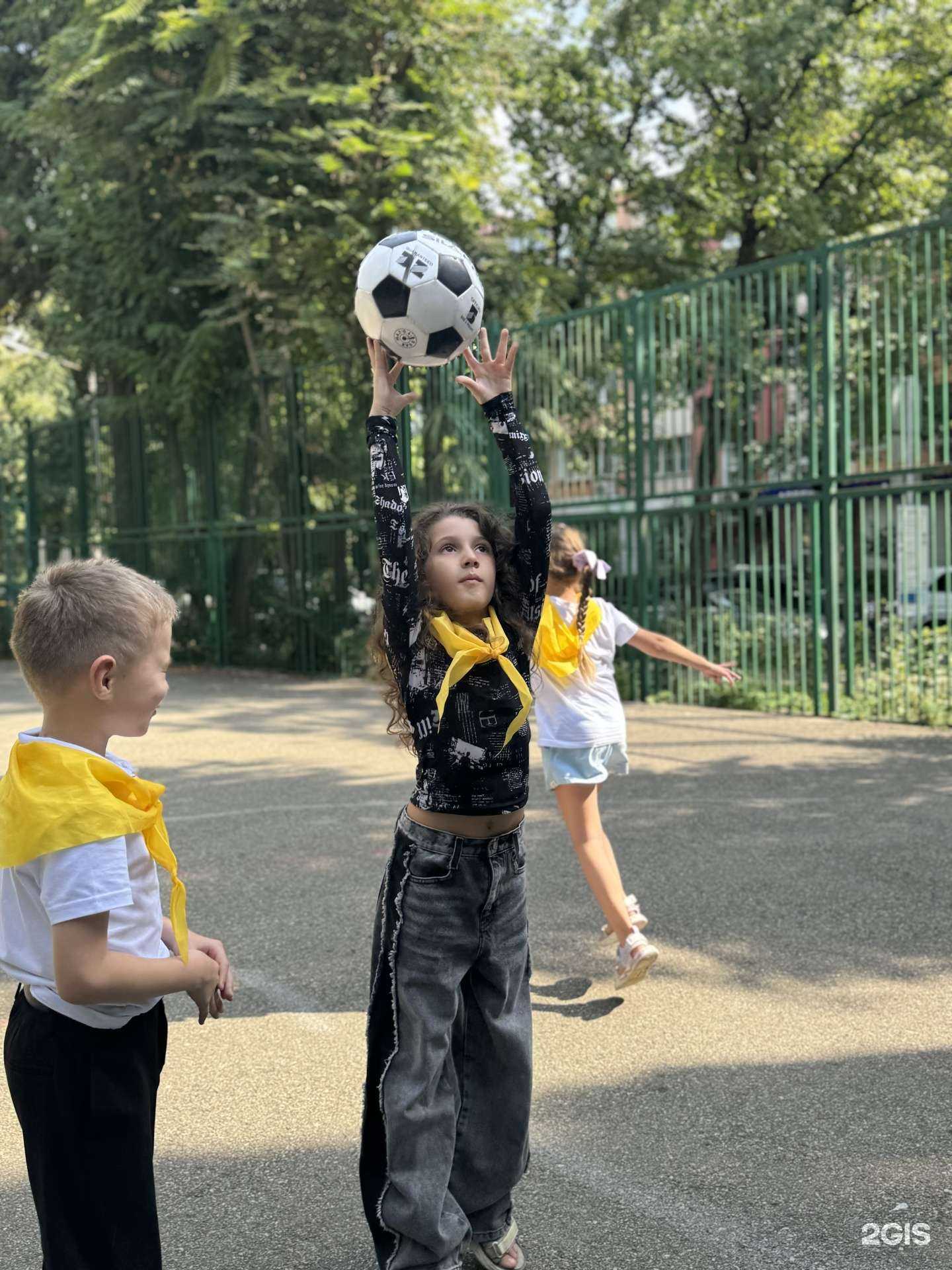 Отзывы на компанию Альфа-Гений в г. Сочи c фото