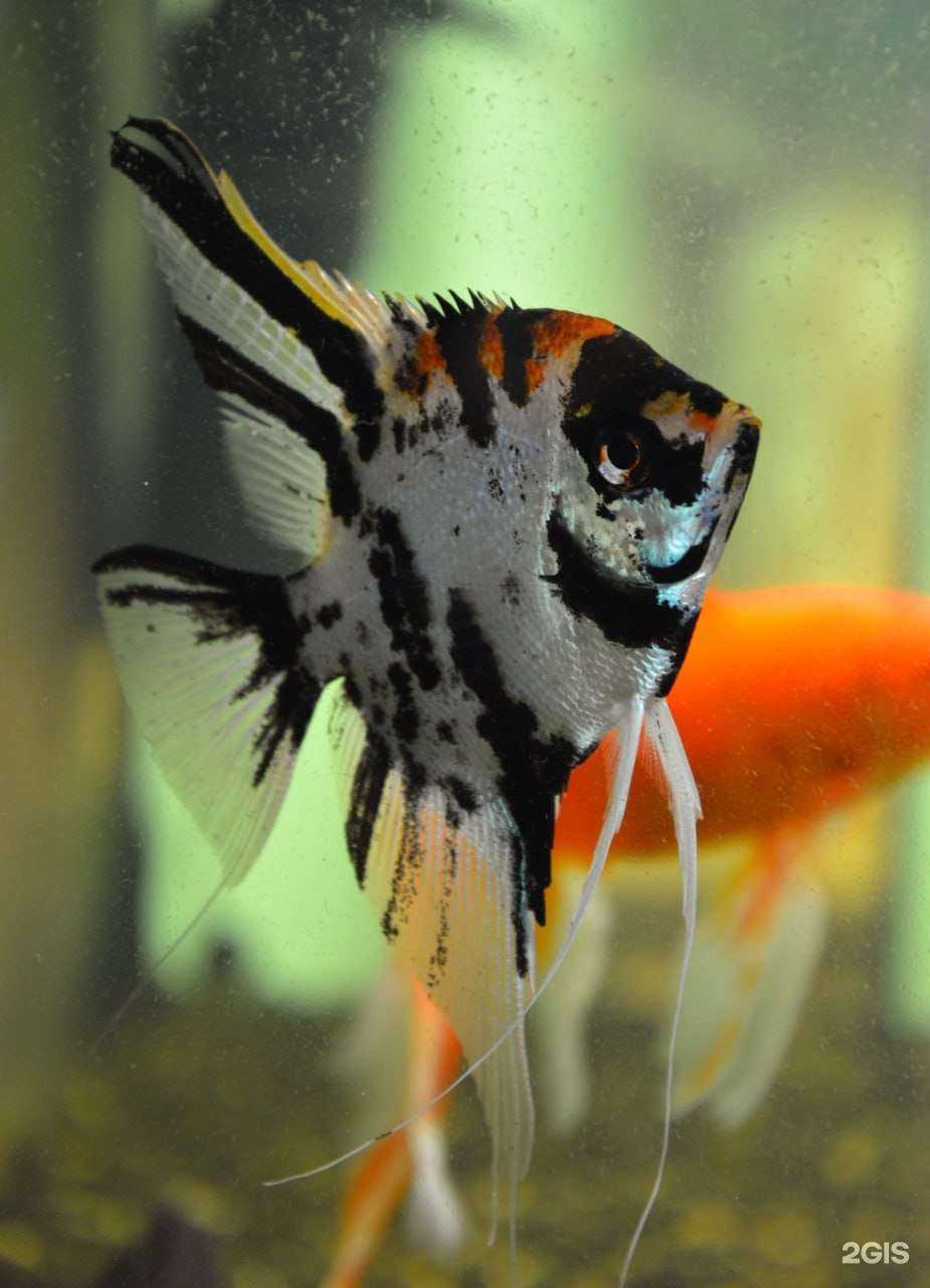 Отзывы на компанию Поволжский кооперативный институт в Энгельсе c фото