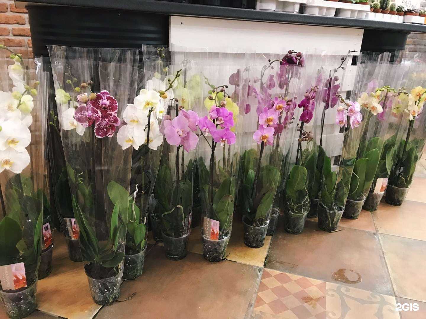 Отзывы на компанию Анжелика в Кургане c фото