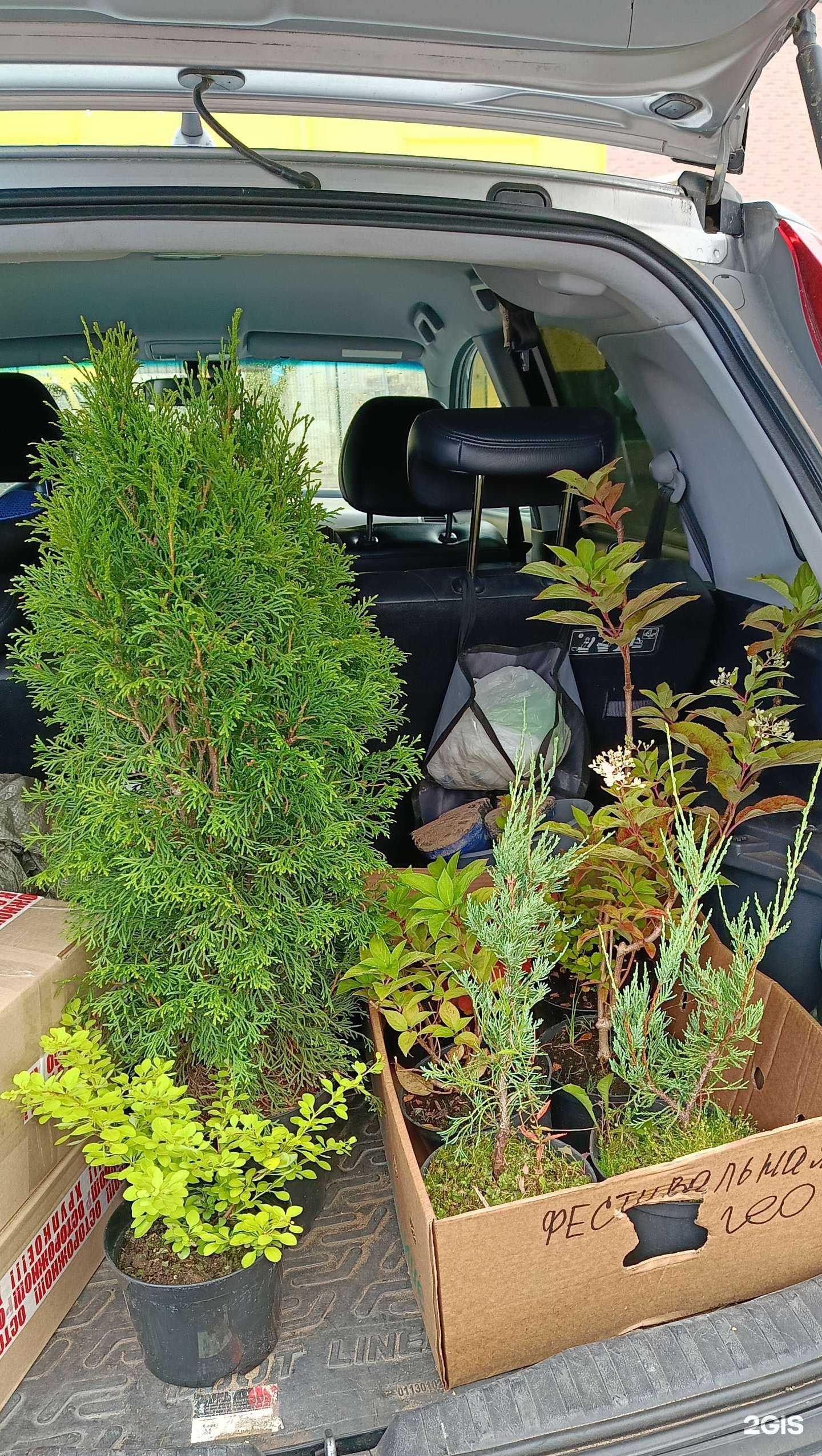 Отзывы на компанию СтройБери в Кирове c фото