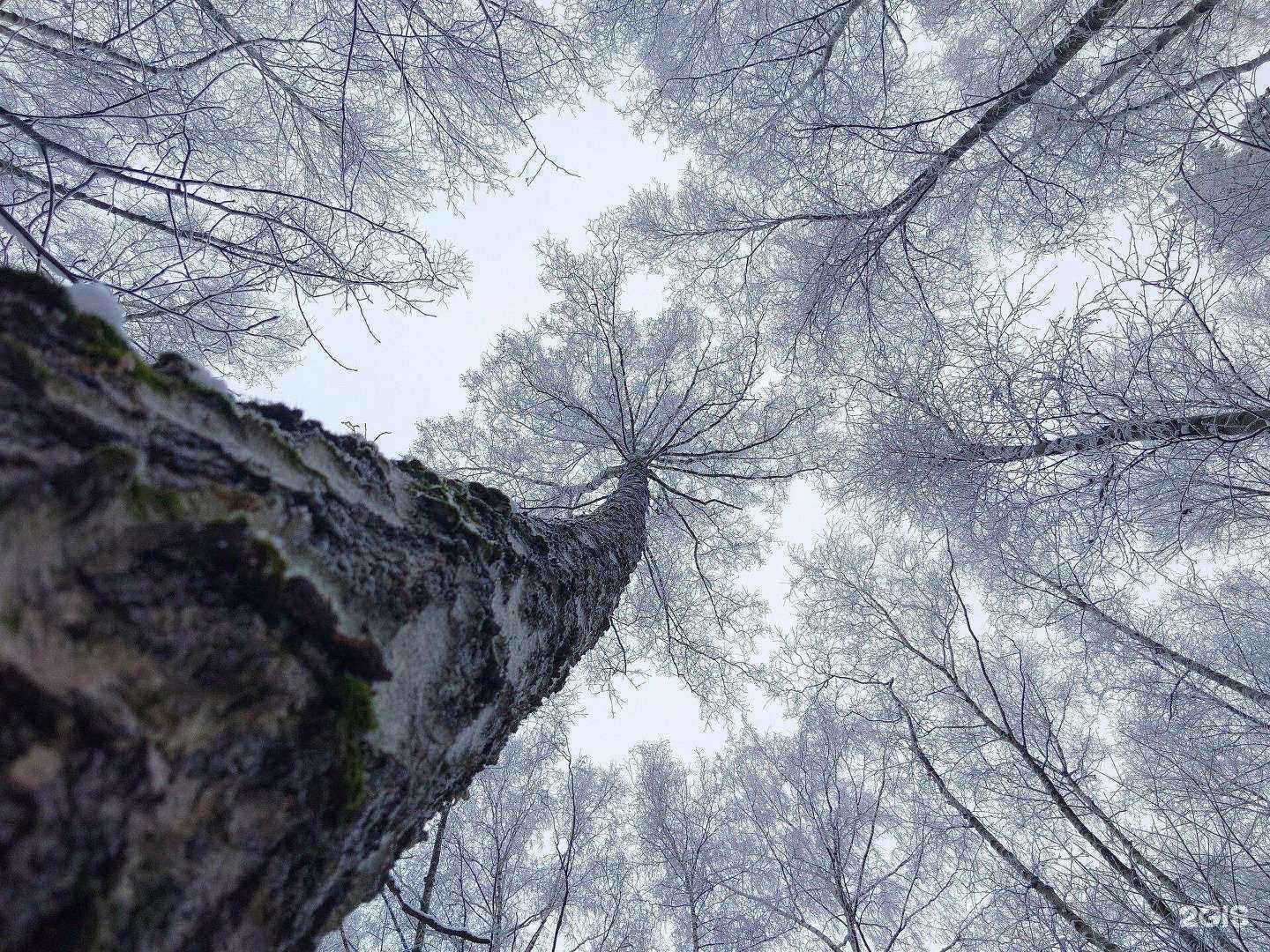 Отзывы на компанию Sony Centre в г. Липецк c фото