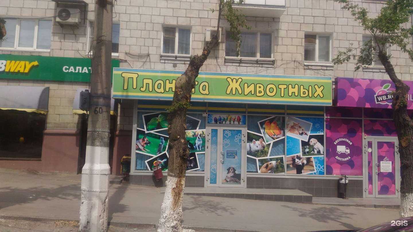 Отзывы на компанию Планета животных в Волгограде c фото