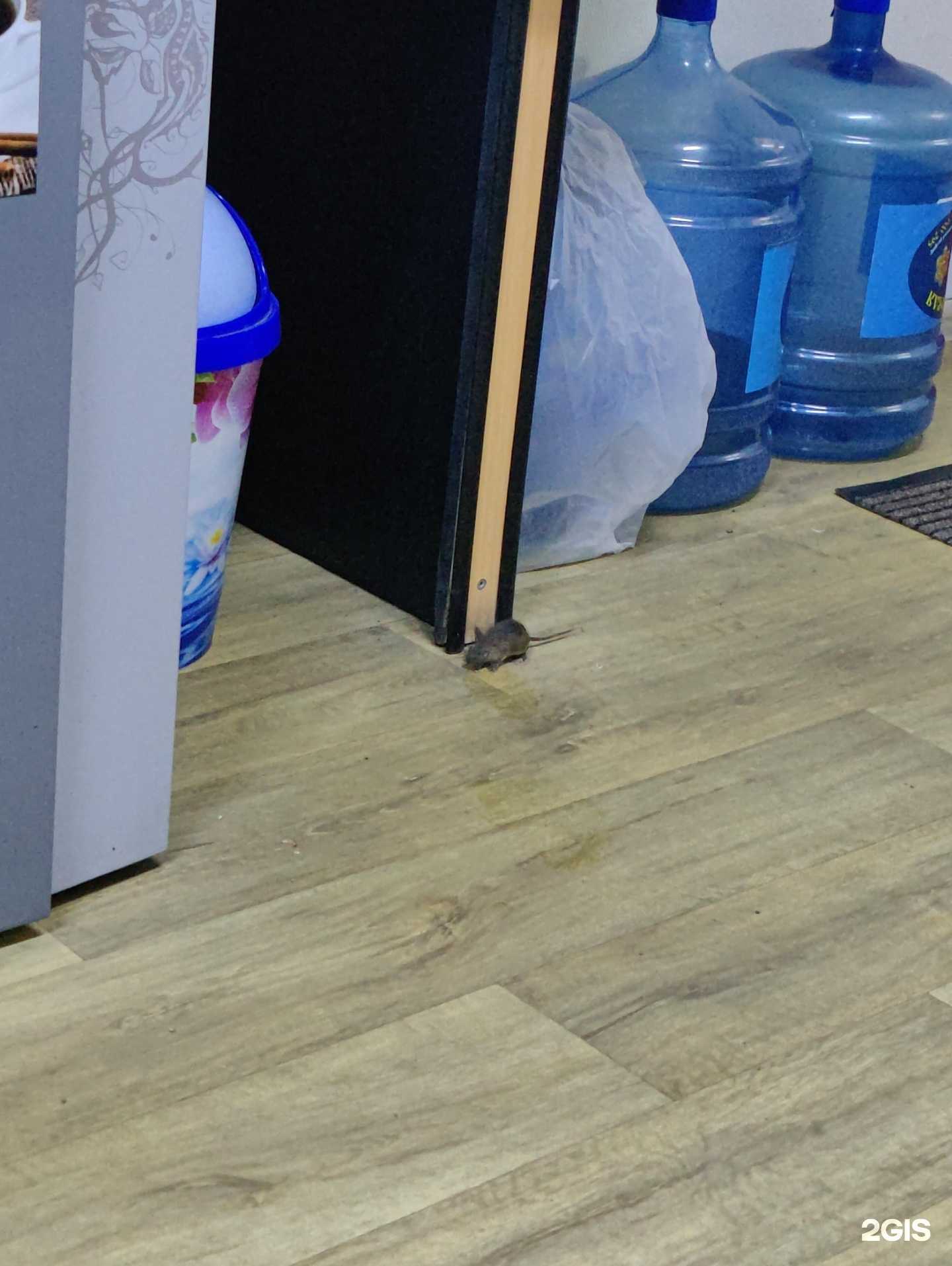 Отзывы на компанию Автомойка в Тюмени c фото