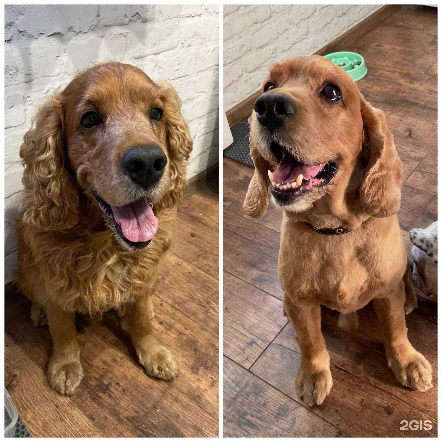 Отзывы на компанию Красный кролик в г. Новосибирск c фото