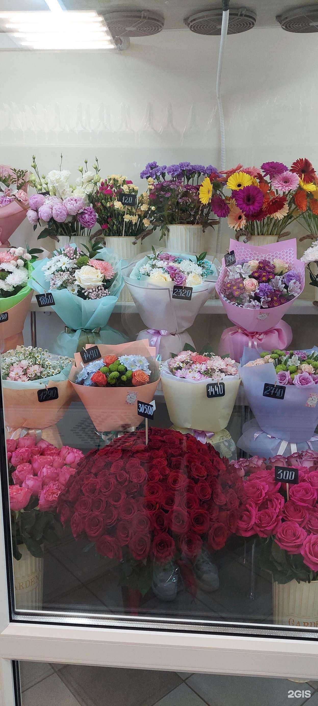 Отзывы на компанию Росинка в Новокузнецке c фото