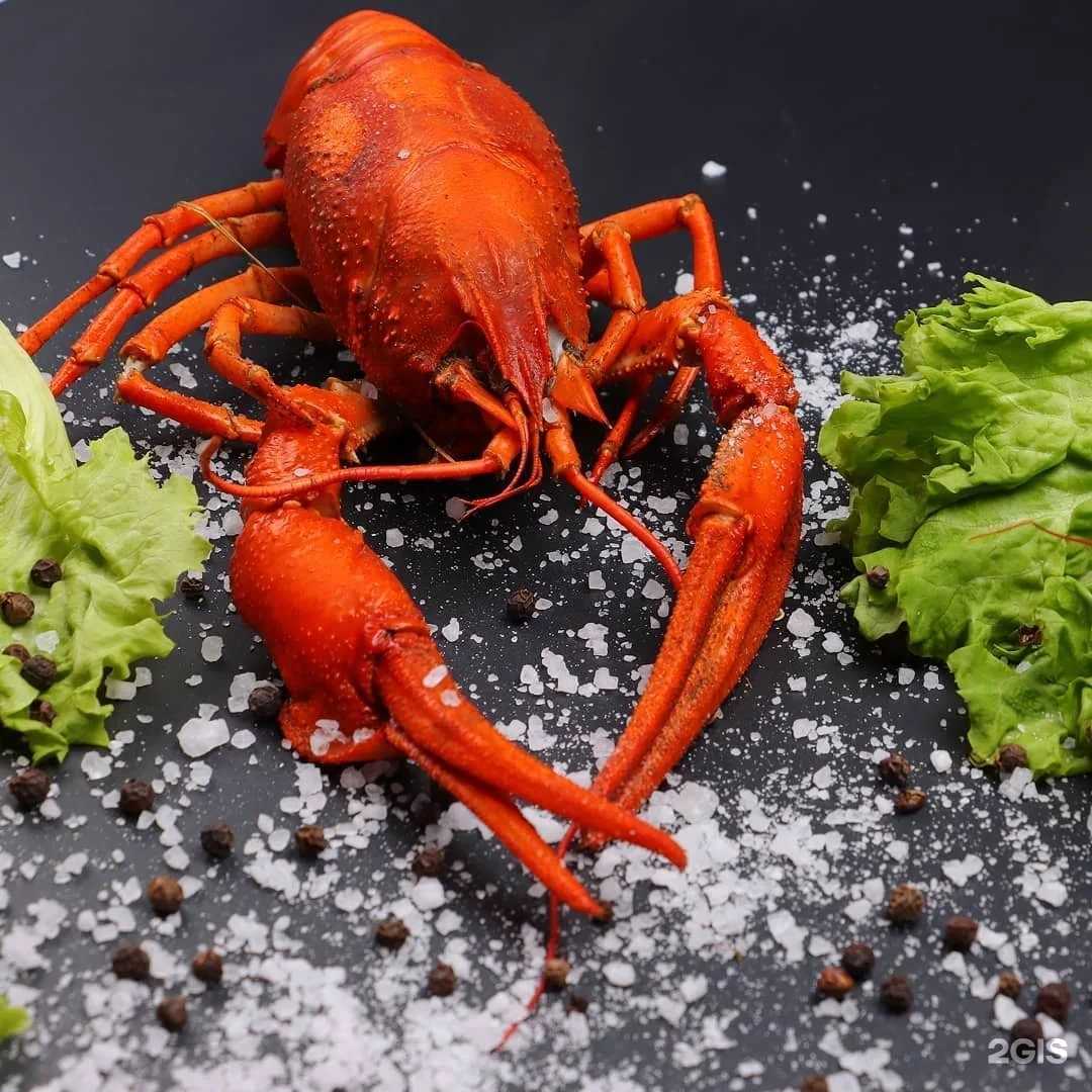 Отзывы на компанию Магазин живых раков в г. Новосибирск c фото