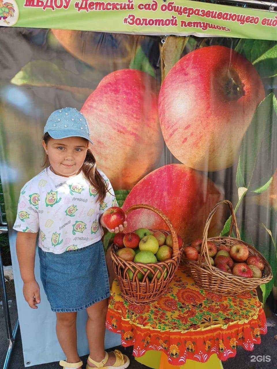 Отзывы на компанию Детский сад общеразвивающего вида №6 Золотой петушок в Губкине c фото