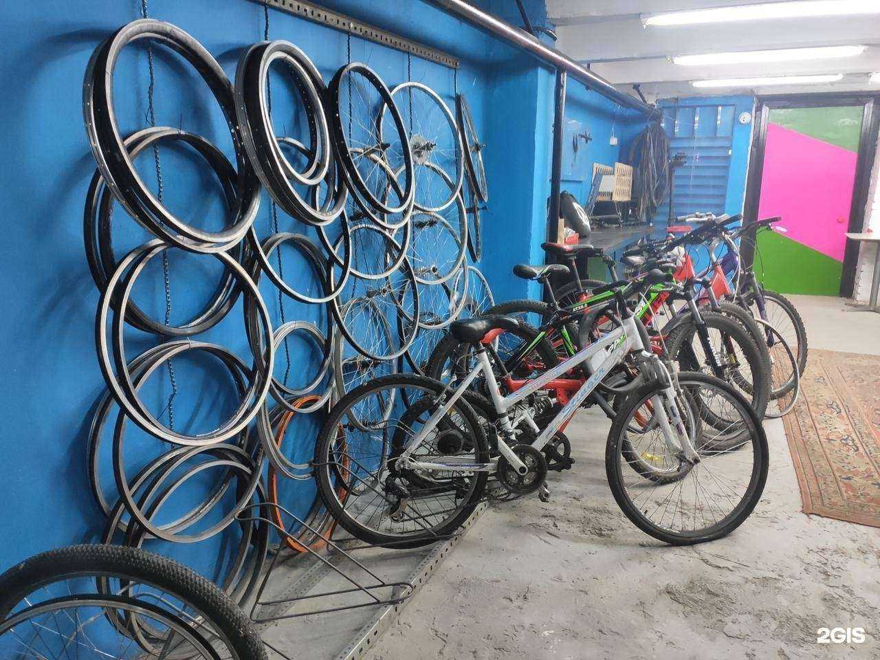 Отзывы на компанию Кусты в г. Ростов-на-Дону c фото