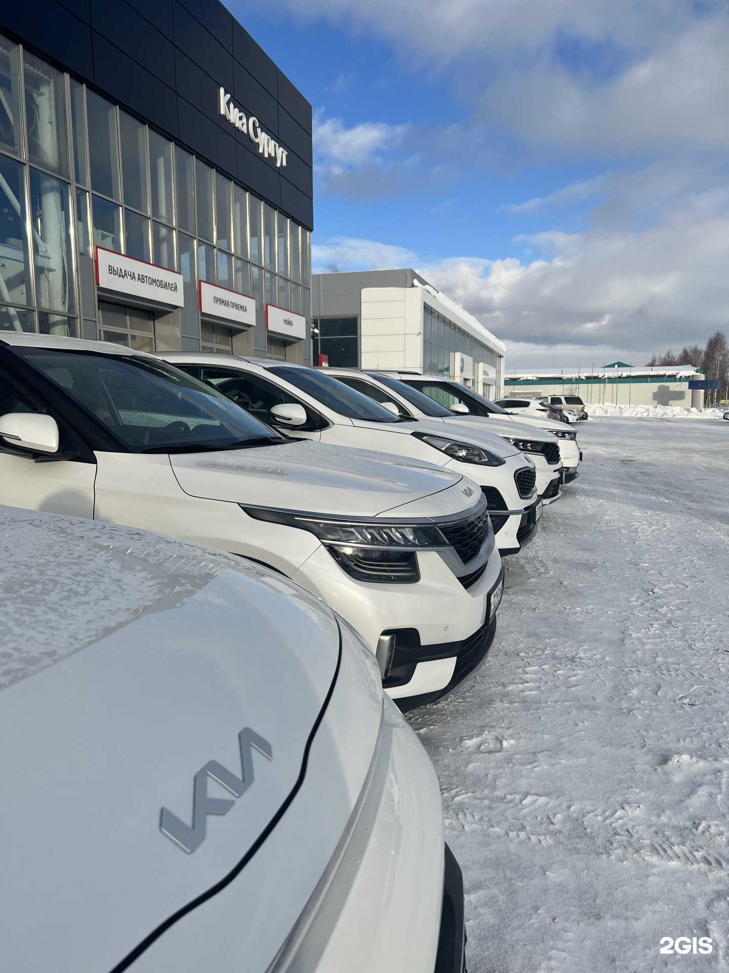 Отзывы на компанию Кia Сургут в г. Сургут c фото