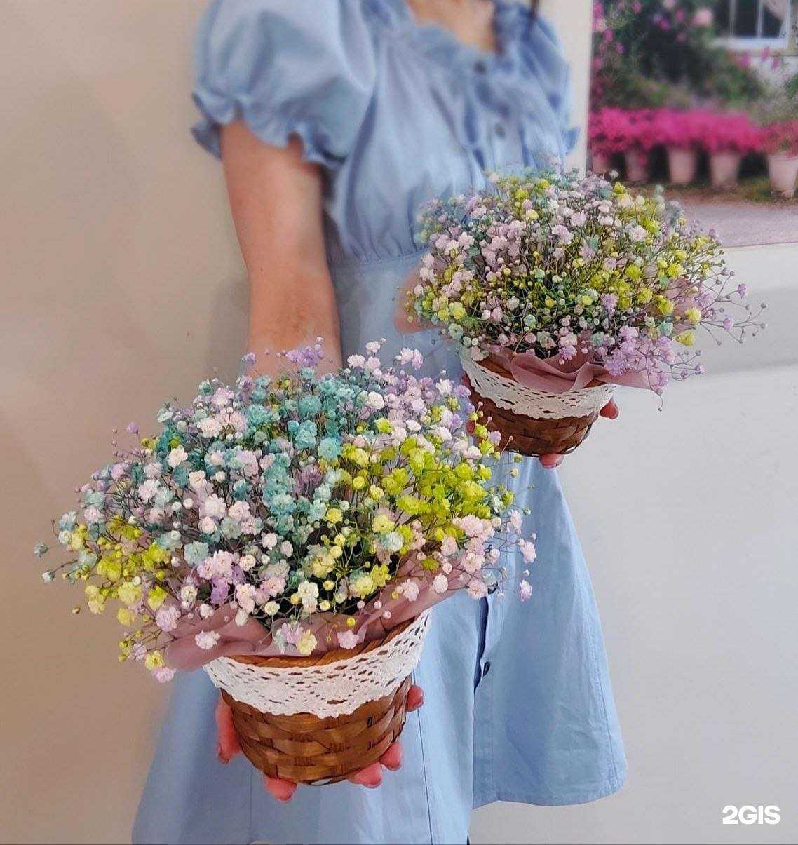 Отзывы на компанию Дом цветков в г. Искитим c фото