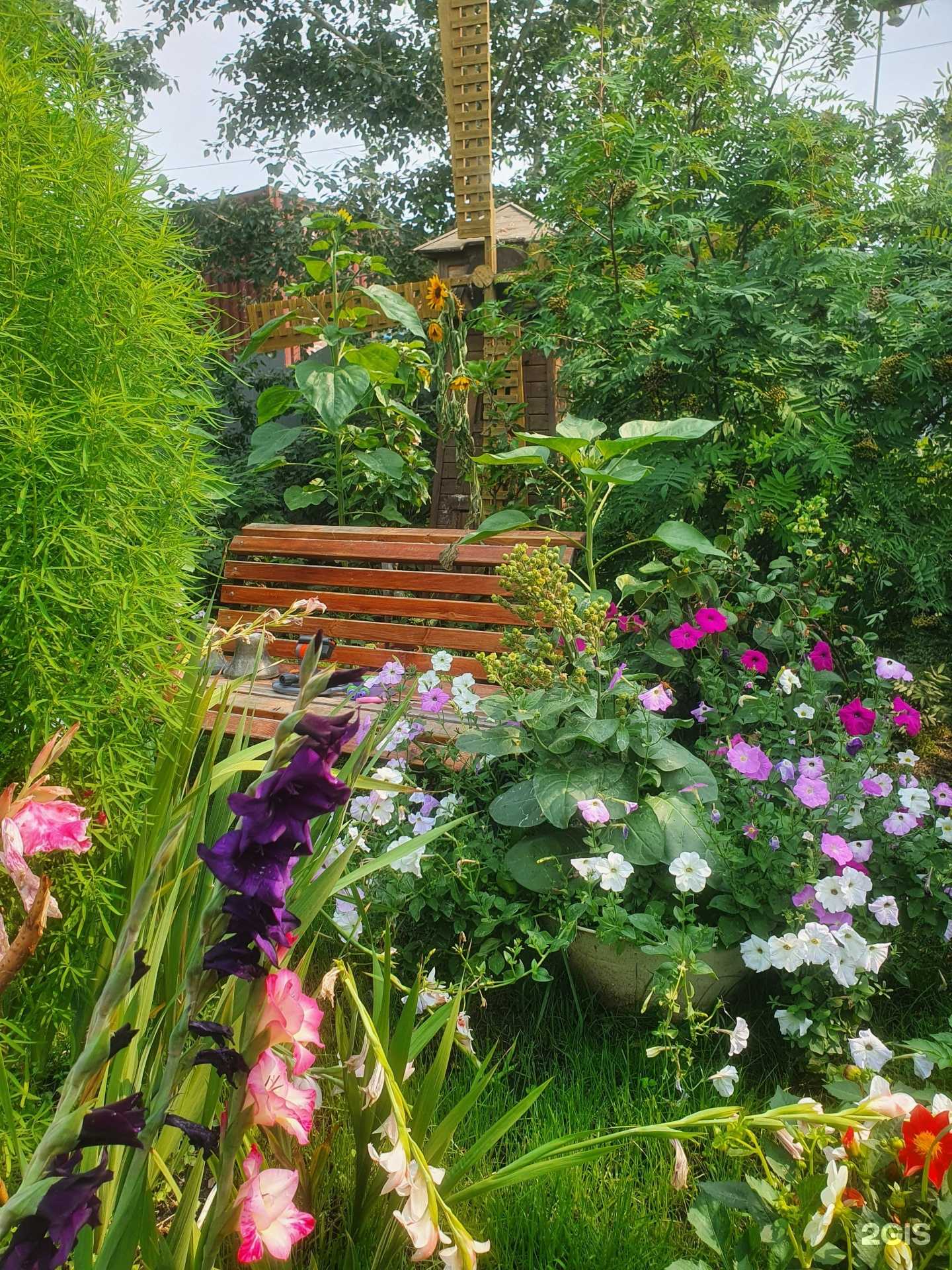 Отзывы на компанию Green City в г. Якутск c фото