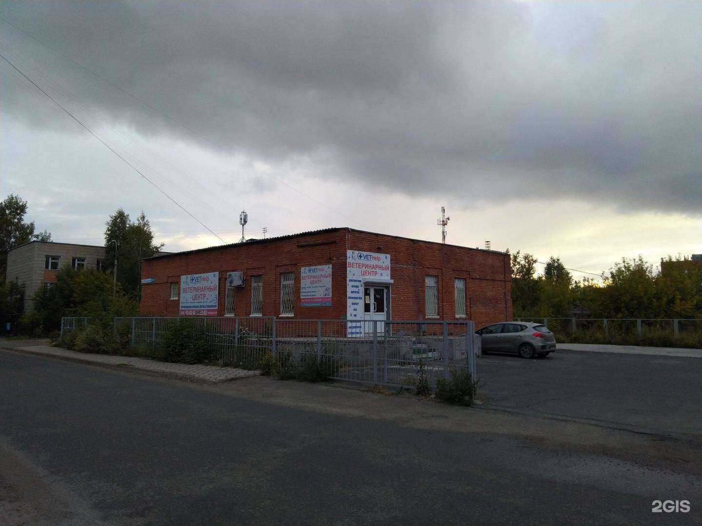 Отзывы на компанию Vethelp в Томске c фото - фотография 2 из 2