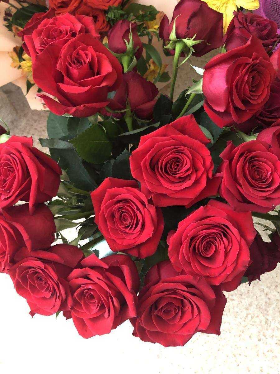 Отзывы на компанию ADORA в Кемерове c фото