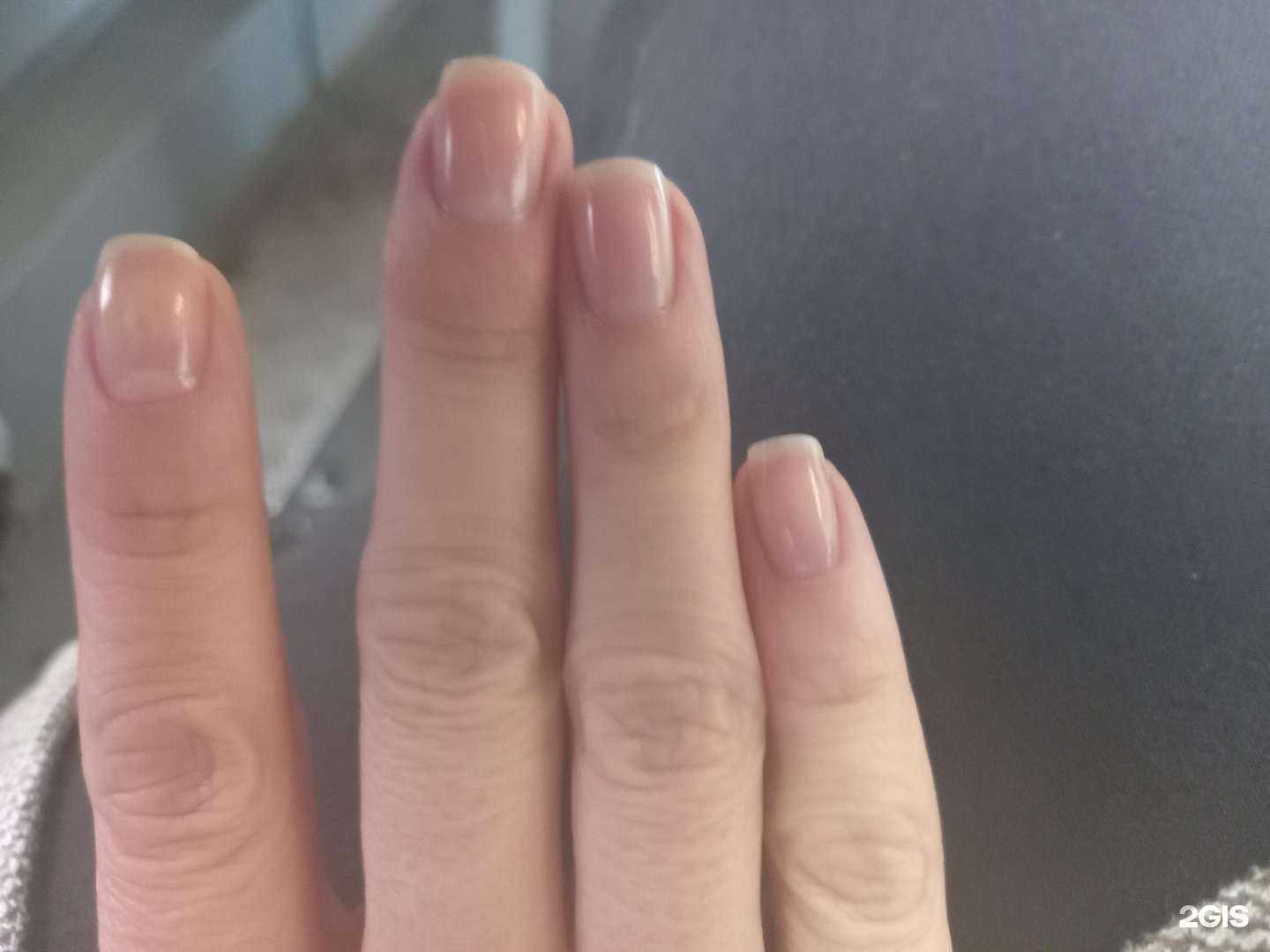 Отзывы на компанию Marmalade crew в Ярославле c фото