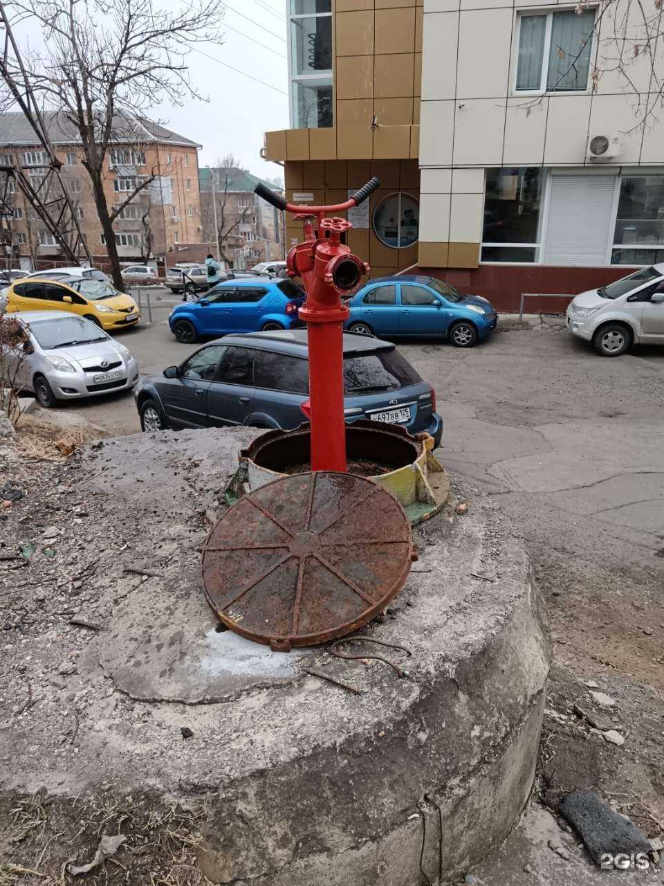 Отзывы на компанию Прямая Япония в Владивостоке c фото - фотография 2 из 2