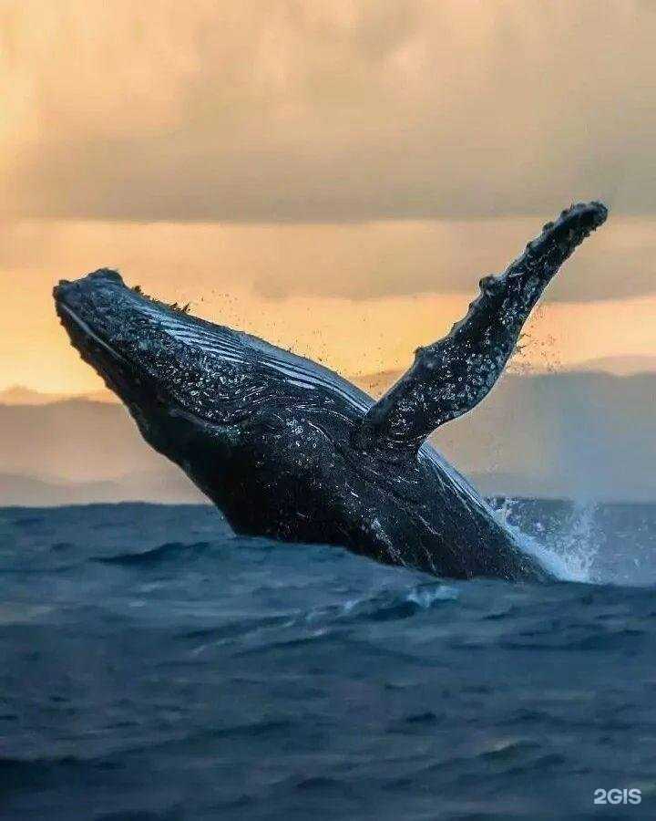 Отзывы на компанию Дискавери в г. Пенза c фото