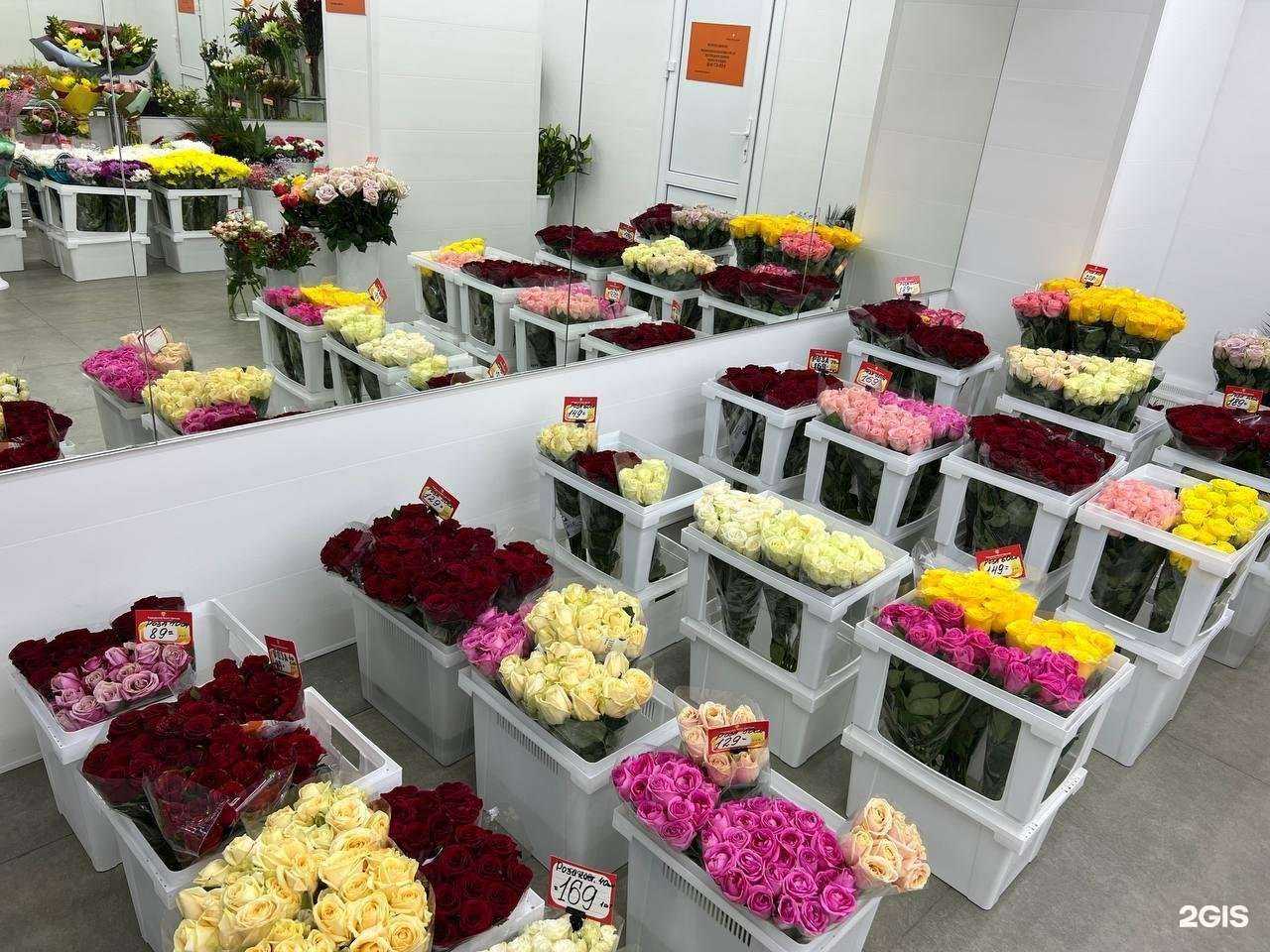 Отзывы на компанию Городская база цветов в Пушкине c фото