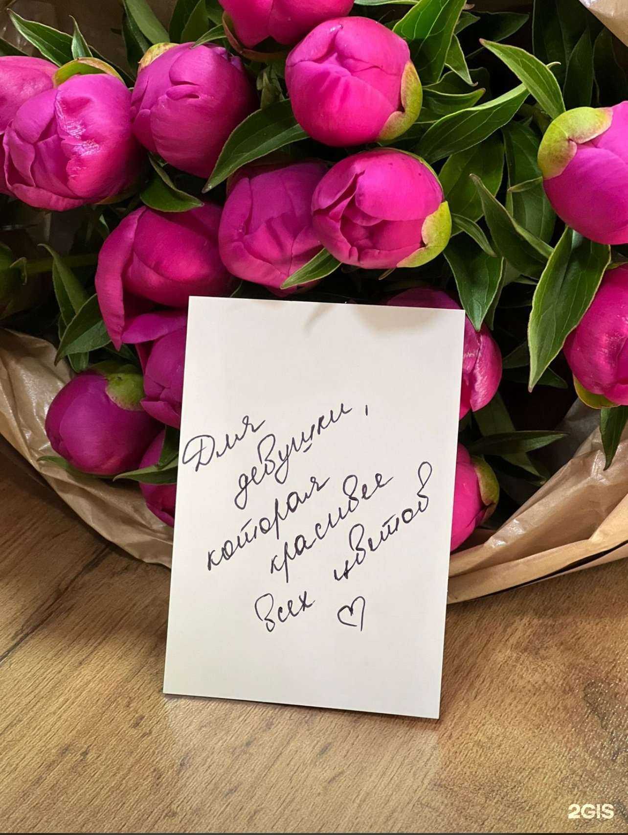 Отзывы на компанию Blumental в г. Каспийск c фото