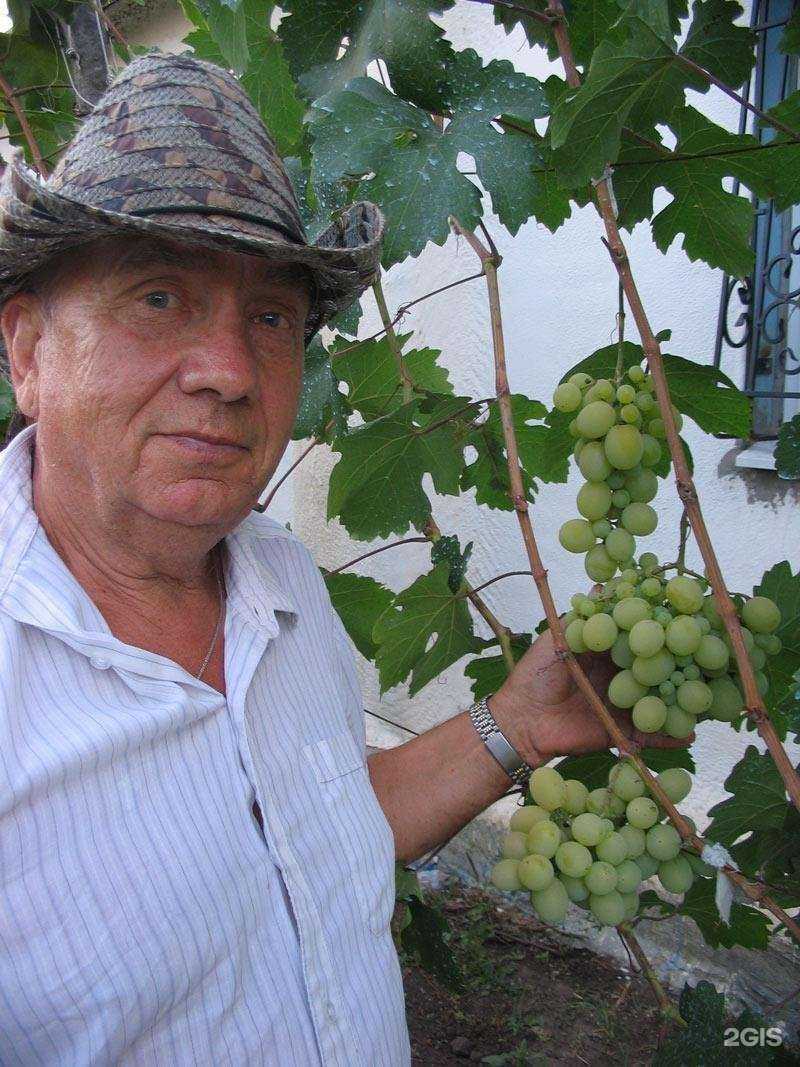 Отзывы на компанию Новый сад в г. Тольятти c фото