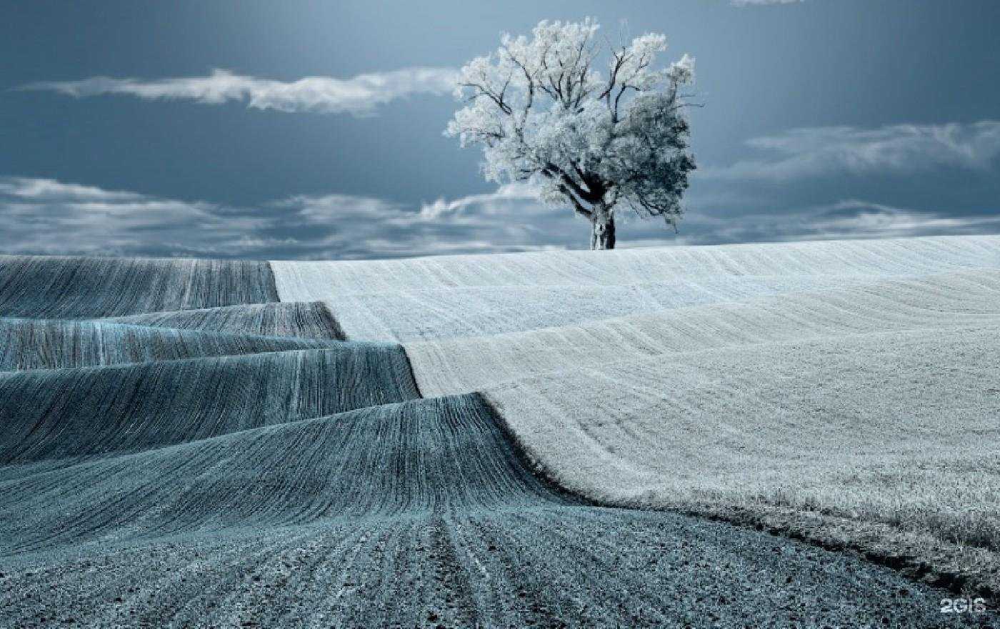 Отзывы на компанию Взгляд в г. Новосибирск c фото