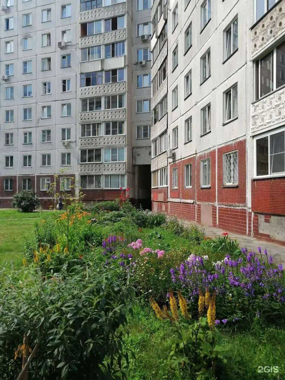 Отзывы на компанию Сажа-Нск в г. Новосибирск c фото