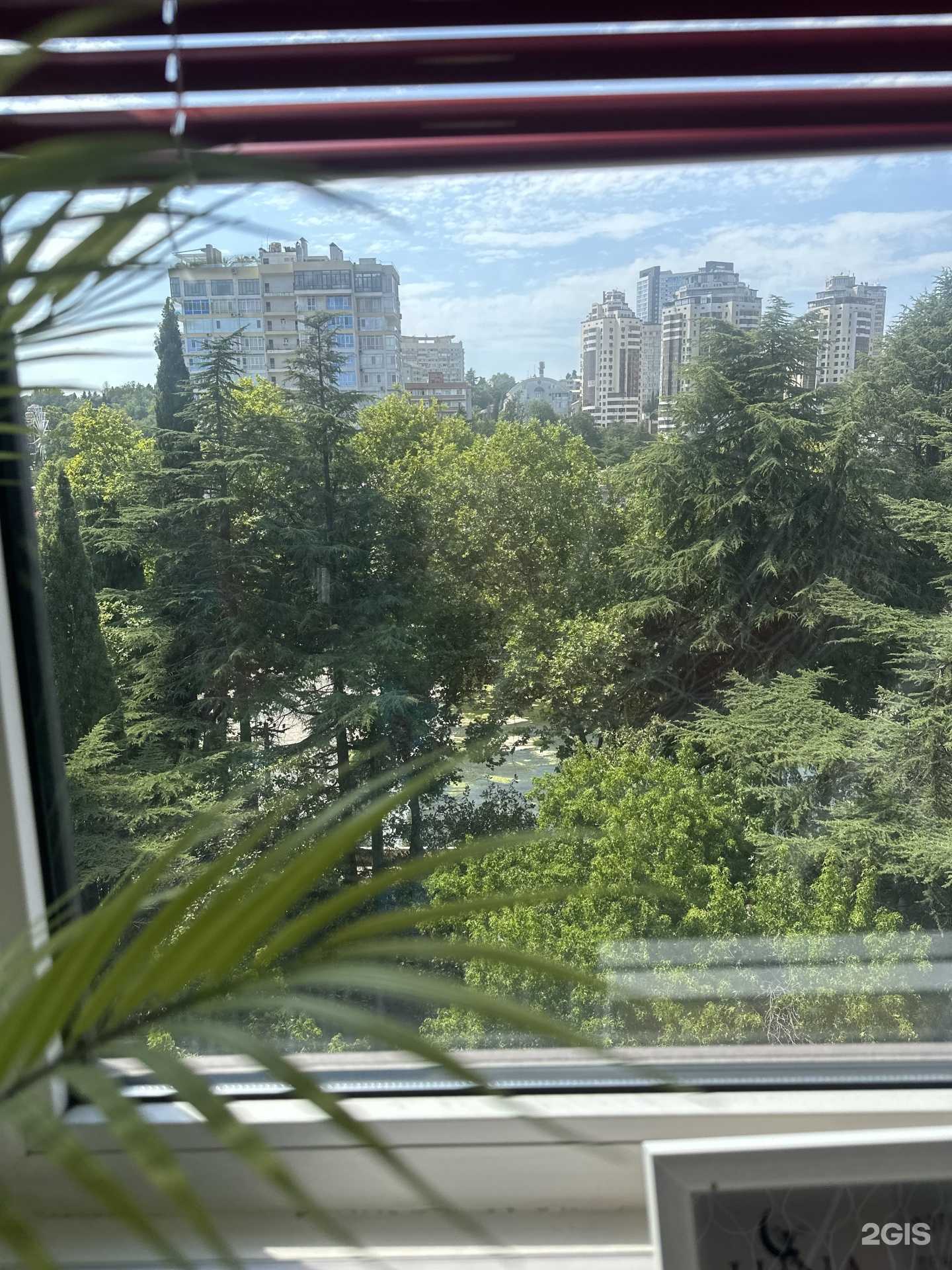 Отзывы на компанию Ибица в г. Сочи c фото