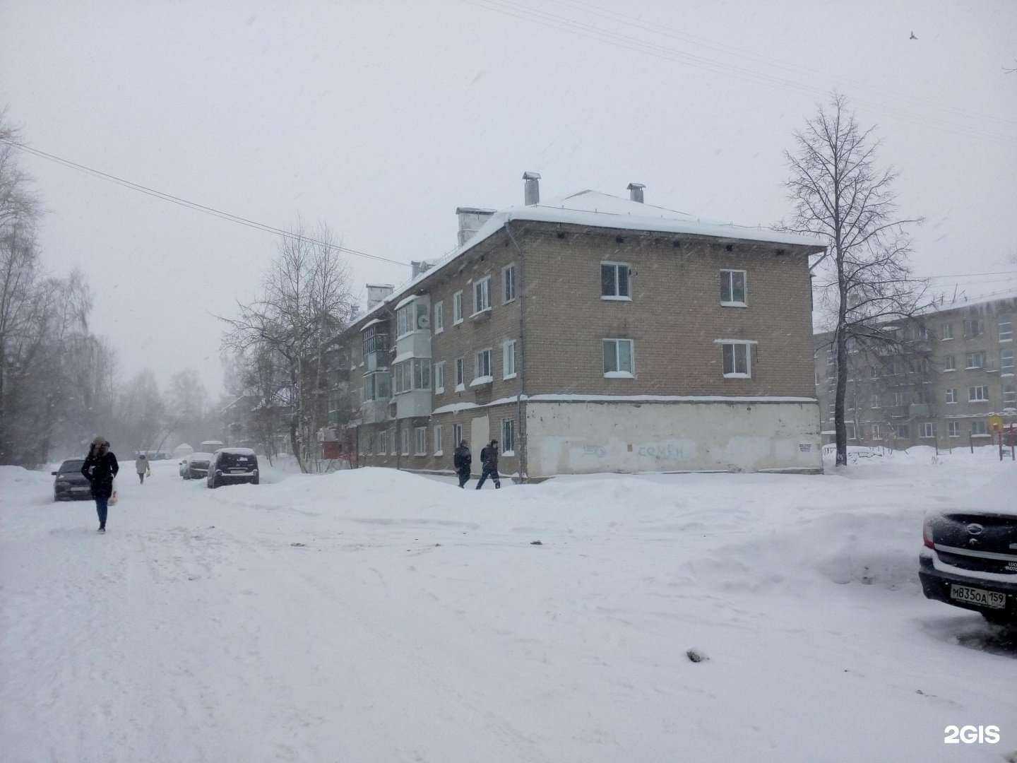 Отзывы на компанию Хвостики в Перми c фото - фотография 2 из 2