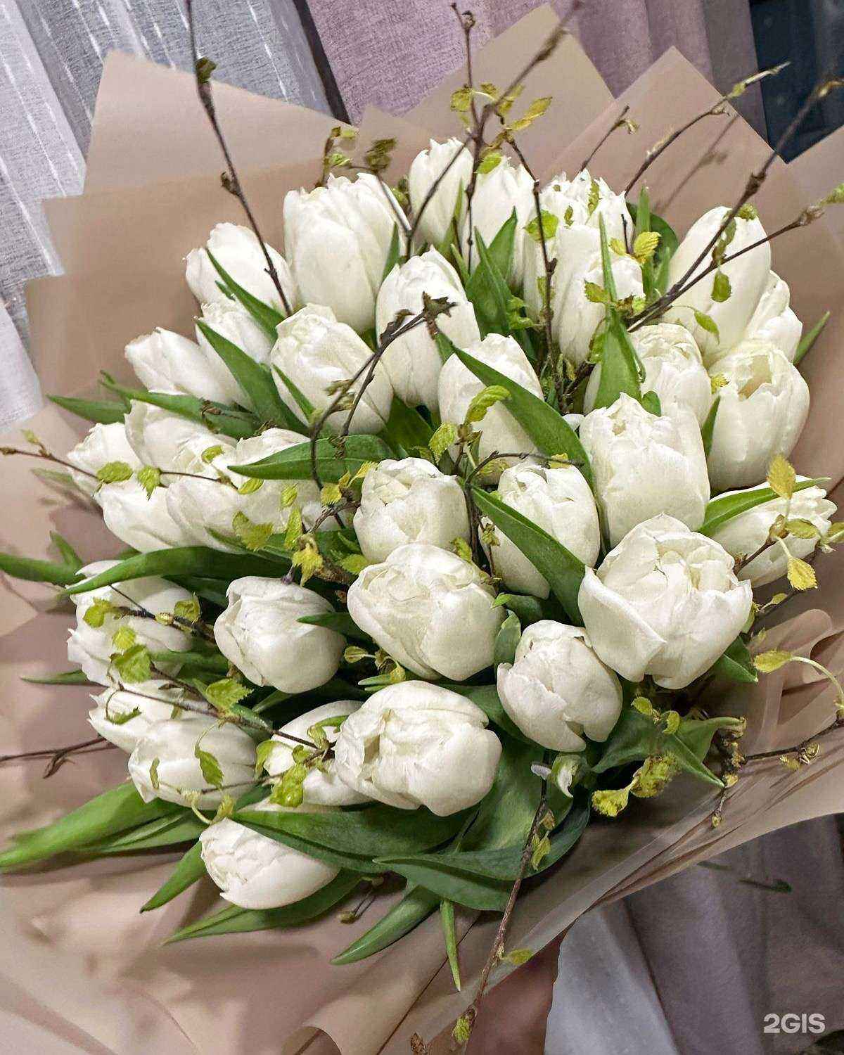 Отзывы на компанию Лантана в Новокузнецке c фото