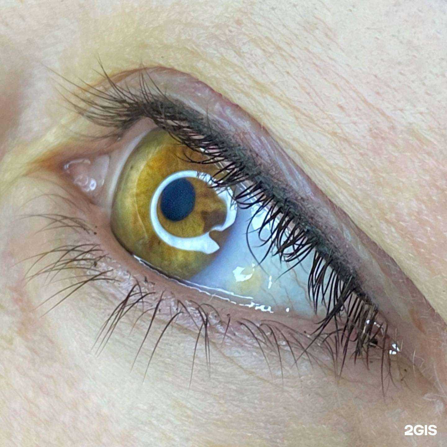 Отзывы на компанию Студия перманентного макияжа и эстетической косметологии в Кургане c фото