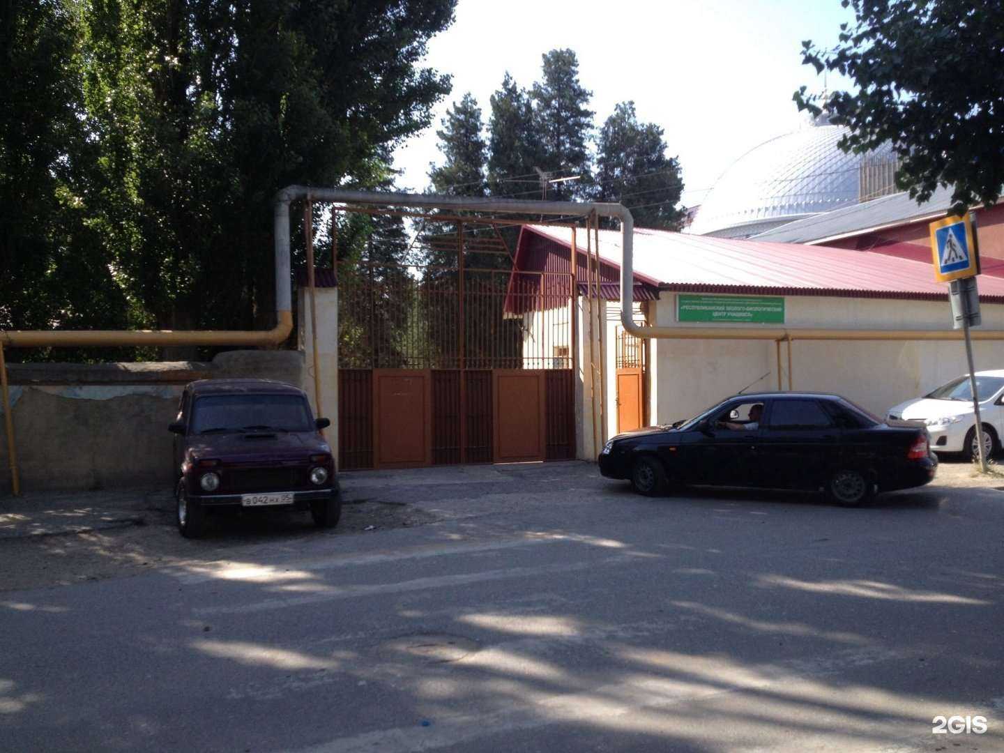 Отзывы на компанию Альтаир в Махачкале c фото - фотография 2 из 2